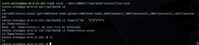 b3cab23dc488503ccd2625c2295104b3.png