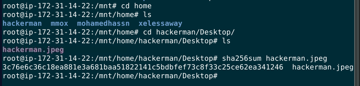 db73854f4101fc88cc6f9cadab03bb03.png